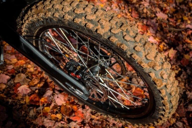 Close-up of a mountain bike wheel with knobby tyre on autumn leaves, suitable for off-road cycling.