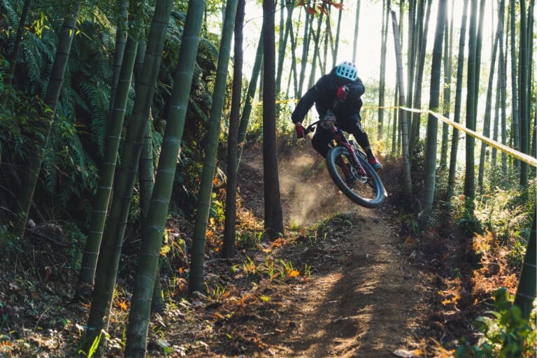 Mountain biker in full gear riding through a dense bamboo forest on a dirt trail.