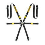 High-performance Sabelt endurance racing harness with six-point safety system for motorsport safety.