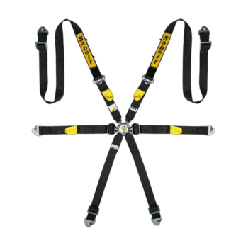 High-performance Sabelt endurance racing harness with six-point safety system for motorsport safety.