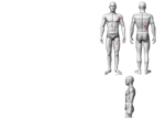 Diagram of a racing driver wearing Grand Prix Racewear, showing protective gear and clothing for motorsport safety.