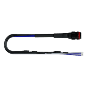 AIM Evo 5 Harness (22 Pins Connections)
