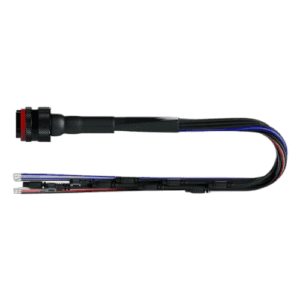 AIM 37 Pin Loom