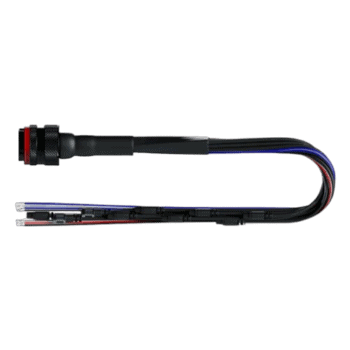 AIM 37 Pin Loom
