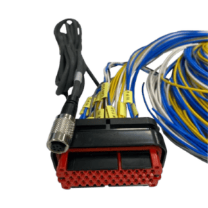 AIM Black Plug Loom 3m