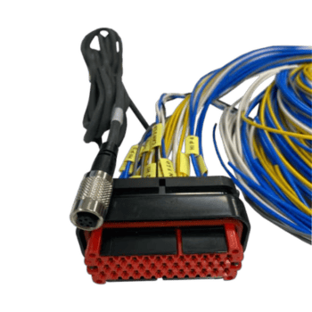 AIM Black Plug Loom 3m