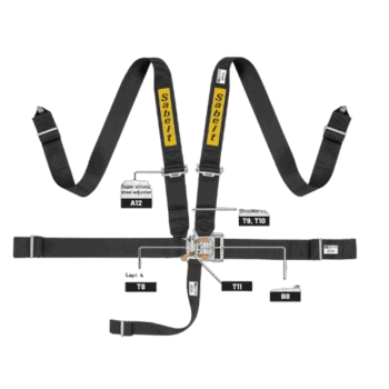 Sabelt racing harness with adjustable straps and metal buckle, designed for motorsport safety and compliance with SFI 16.1 standards.