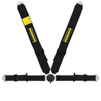 Schroth Caterham II ASM 4-point Harness - 3x2