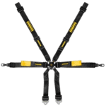 Schroth Enduro 6-Point Harness - 2x2