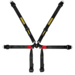 Schroth FHR Formula 6-point Harness - 2x2
