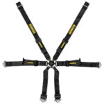 Schroth Profi Porsche 6-point Harness - 2x2