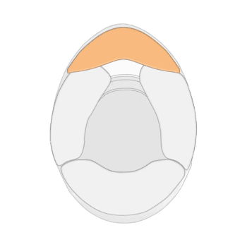 Schuberth Chin Pad