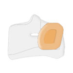 Schuberth Noise Reduction Ear Cups - Hard