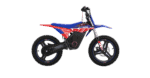 RFN Warrior SX-E800 Kids Electric Bike - Image 4